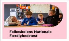 Folkeskolens Nationale Færdighedstest